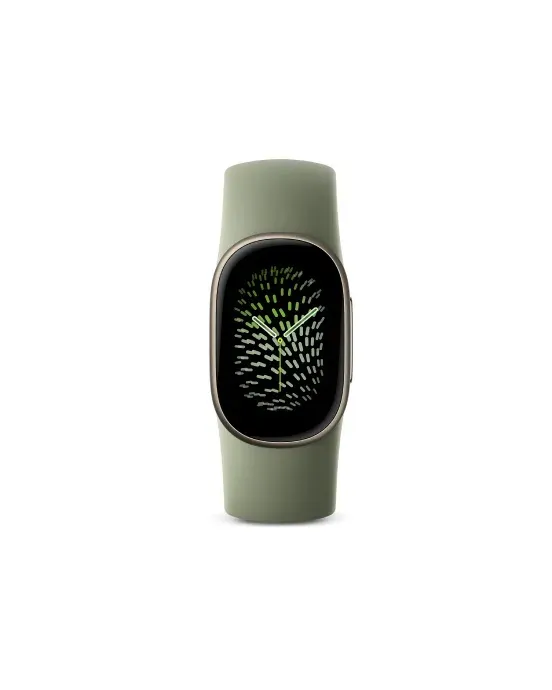 Google Fitbit Edge